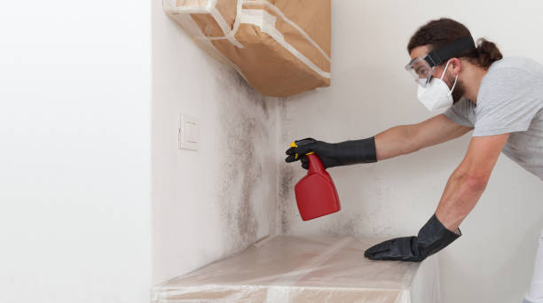Professional Crawl Space Mold Remediation technician working in Murfreesboro, NC