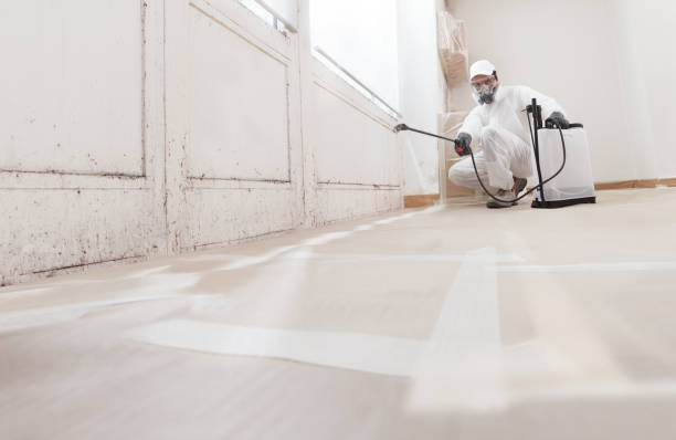 24/7 Emergency Crawl Space Mold Remediation experts in Murfreesboro, NC